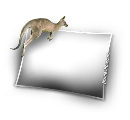 kangaroo picture frame
