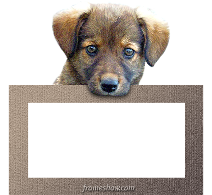 dog photo frame