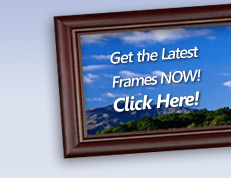 frame, digital photo, desktop, software